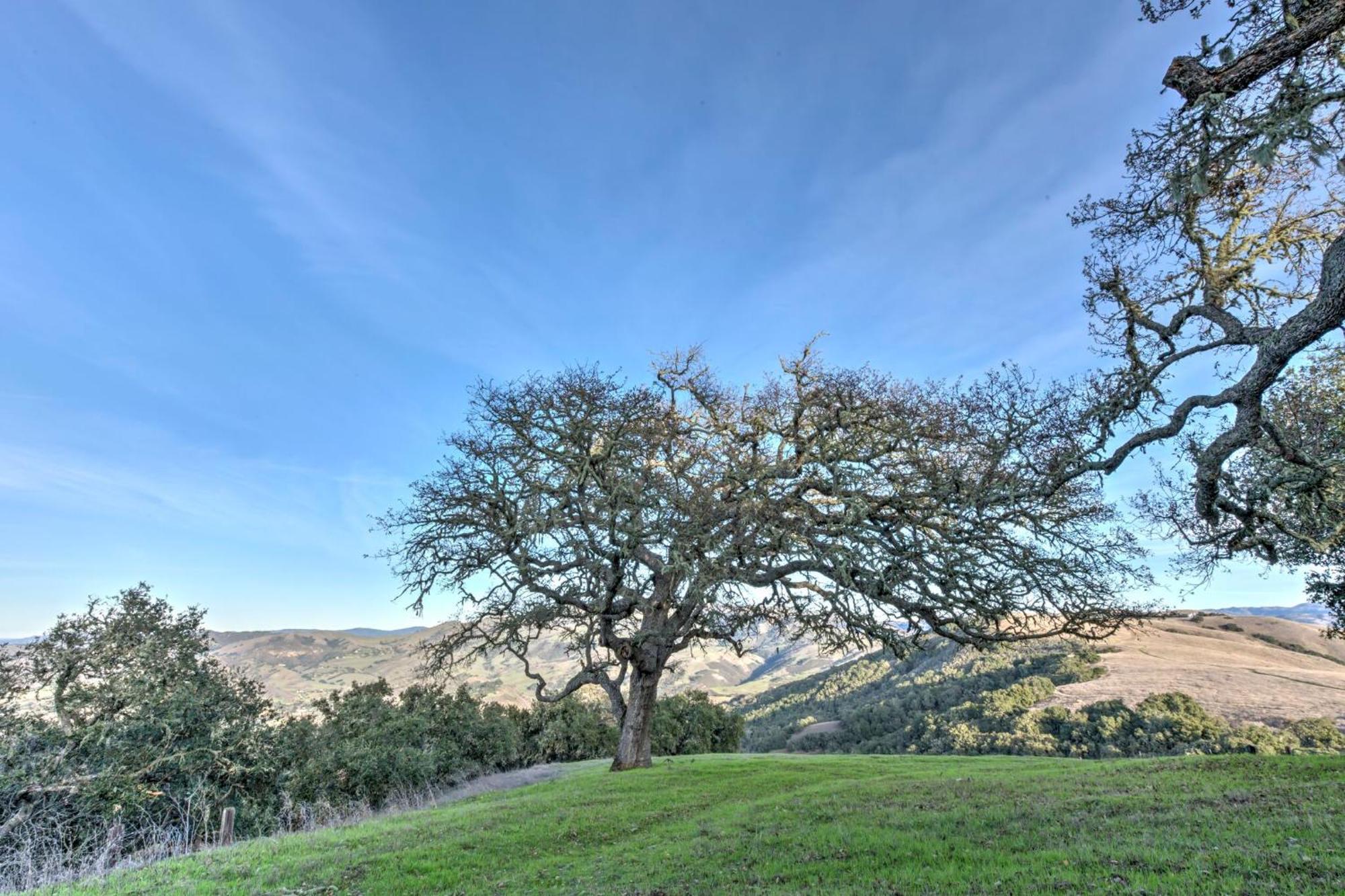 Lx37 Weathertop Ranch In Carmel Wine Country Carmel Valley Exteriör bild